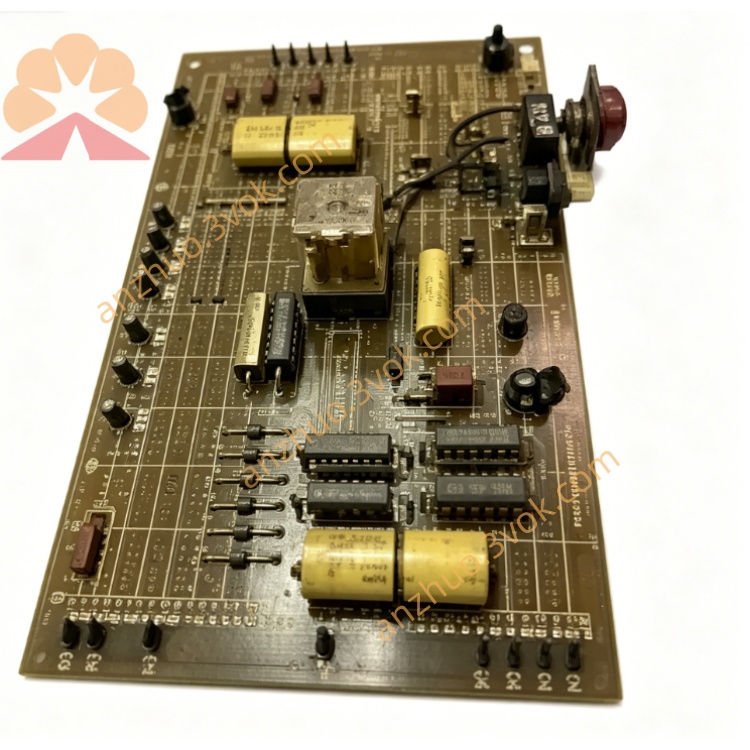 51446(2.jpg