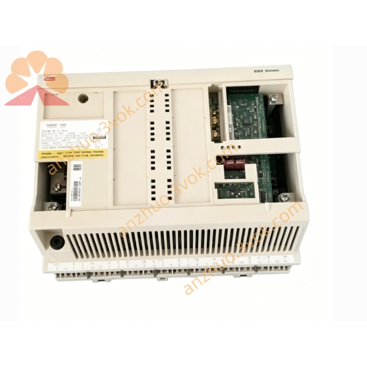 DSAX452(3.jpg
